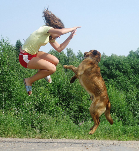 занятия спортом вместе с собакой прыжки