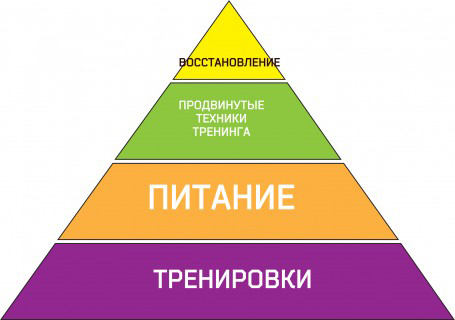 пирамида для набора мышечной массы