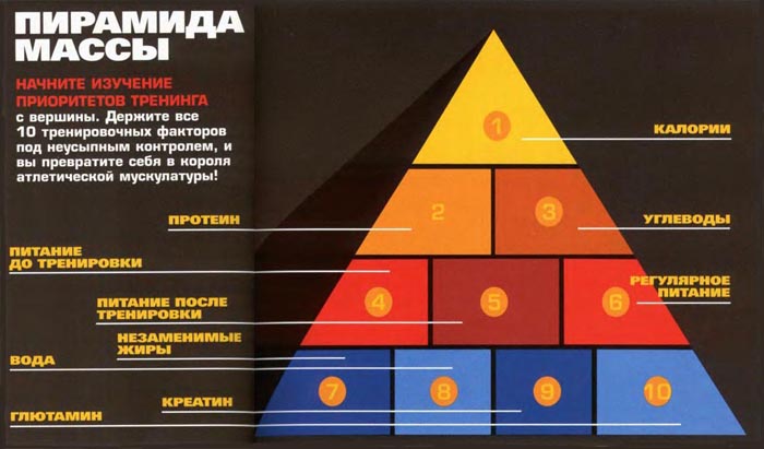 пирамида для набора мышечной массы